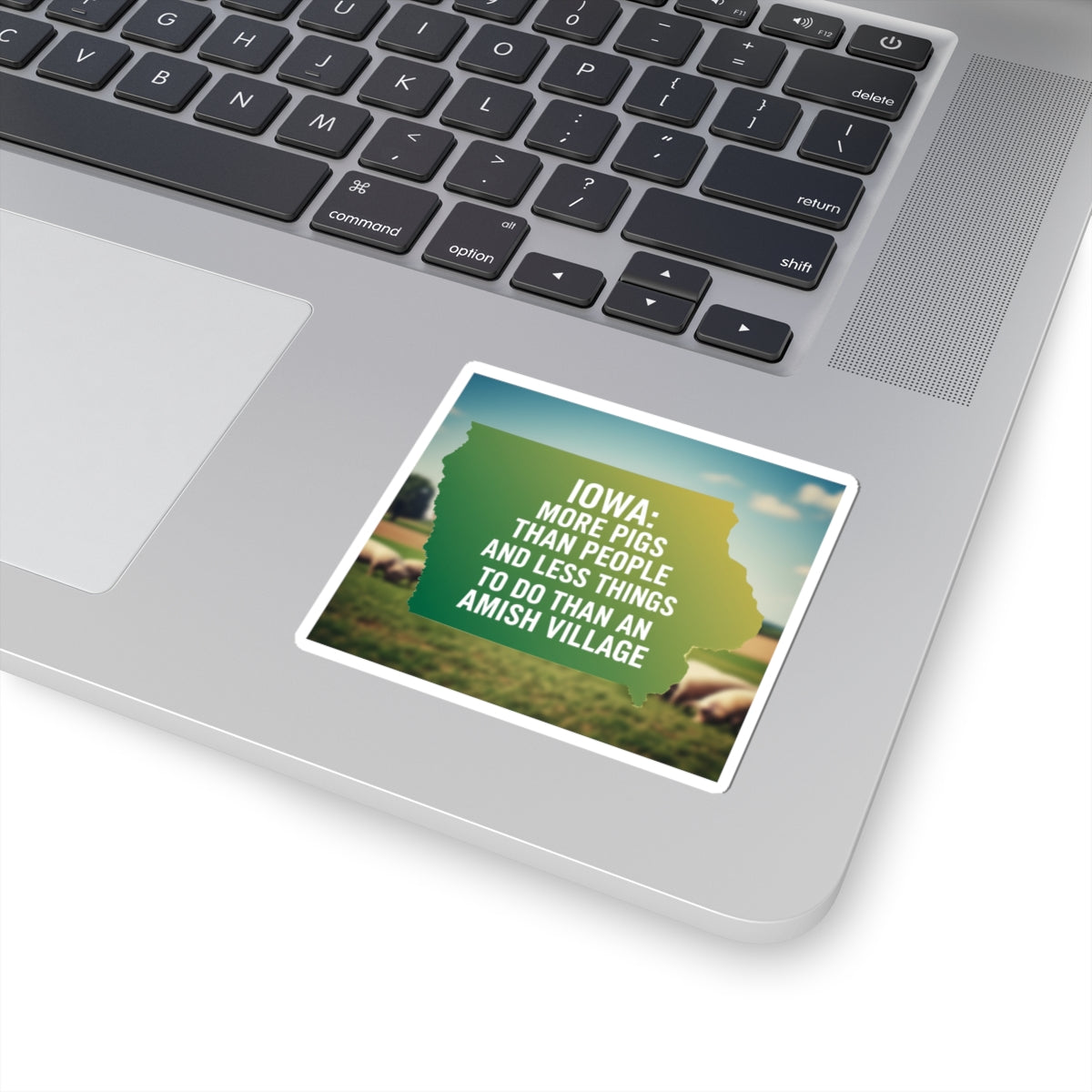 Iowa- Snark  Humorous Kiss-Cut Stickers, Fun Decor, Laptop Accessories, Gift for Iowans, Travel Mementos, Quirky Wall Art