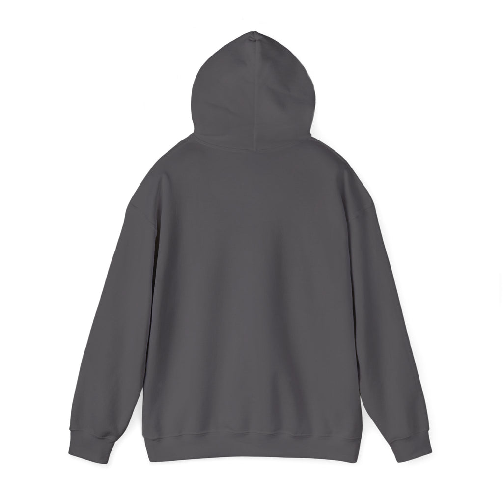 Contract Maintenance Hoodie, Unisex, Airline Humor