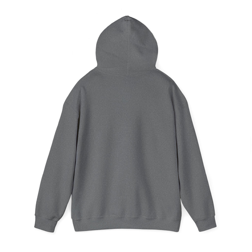 Contract Maintenance Hoodie, Unisex, Airline Humor