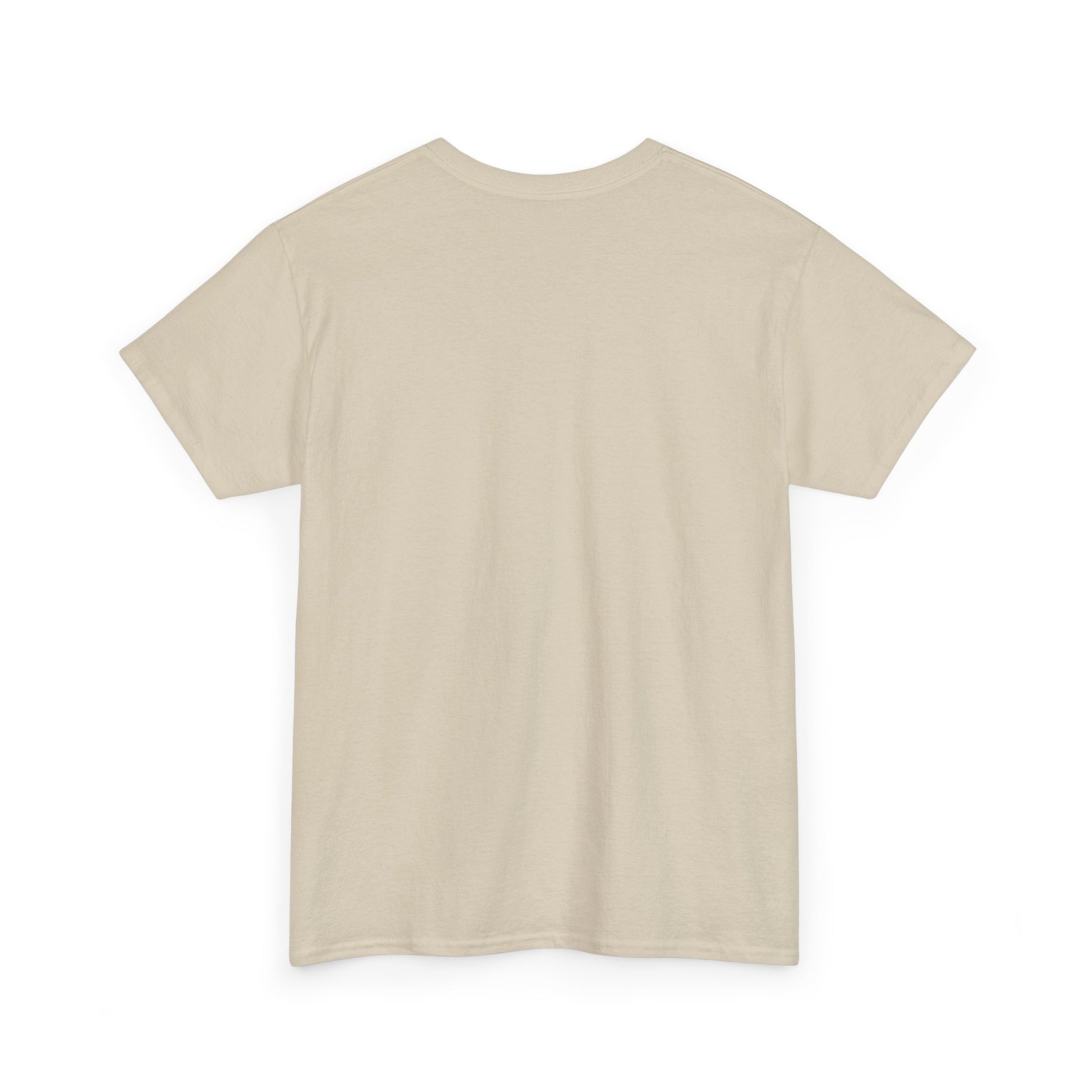 Don't Tell Scheduling, unisex, airline humor. heavyweight tee
