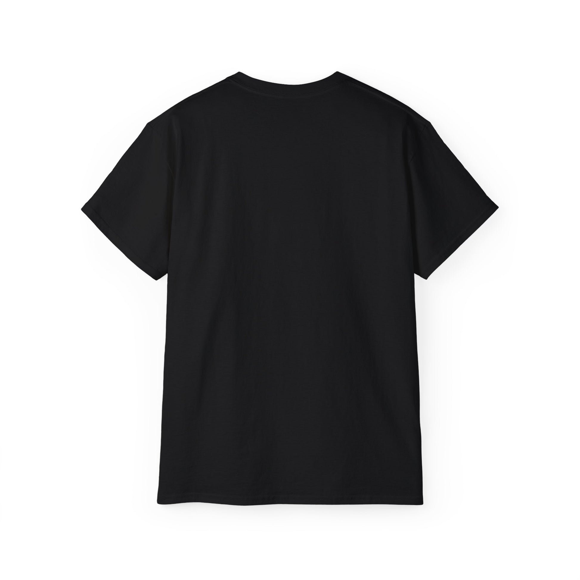 I flew the Devil's Chariot Tee- CRJ 200 shirt