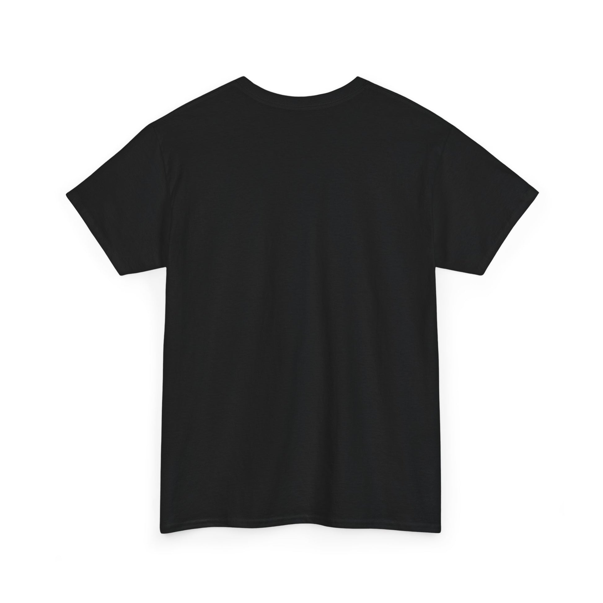 Don't Tell Scheduling, unisex, airline humor. heavyweight tee