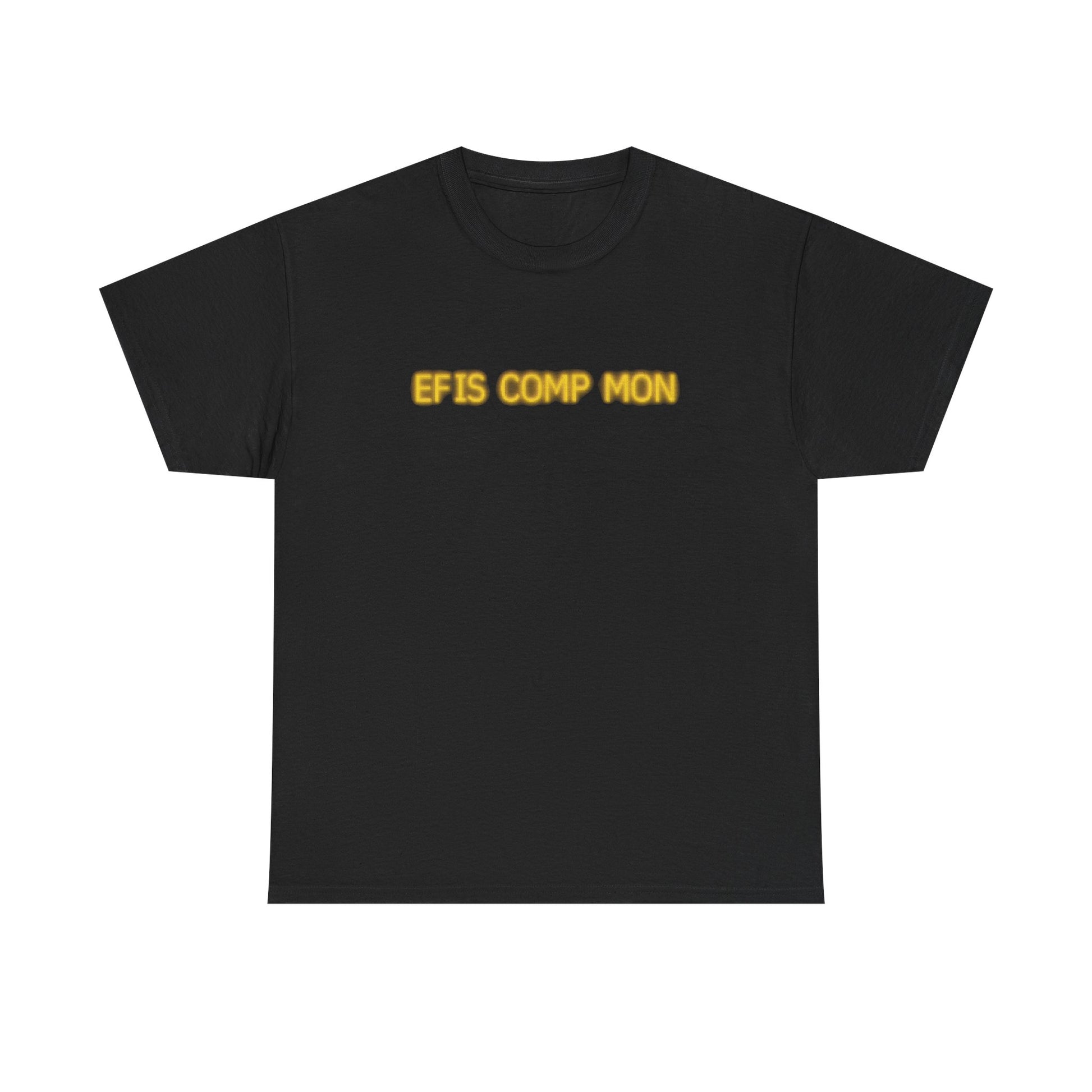 EFIS COMP MON CRJ SCREEN