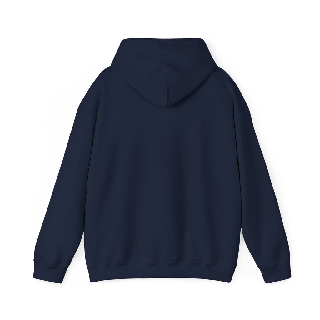 Contract Maintenance Hoodie, Unisex, Airline Humor