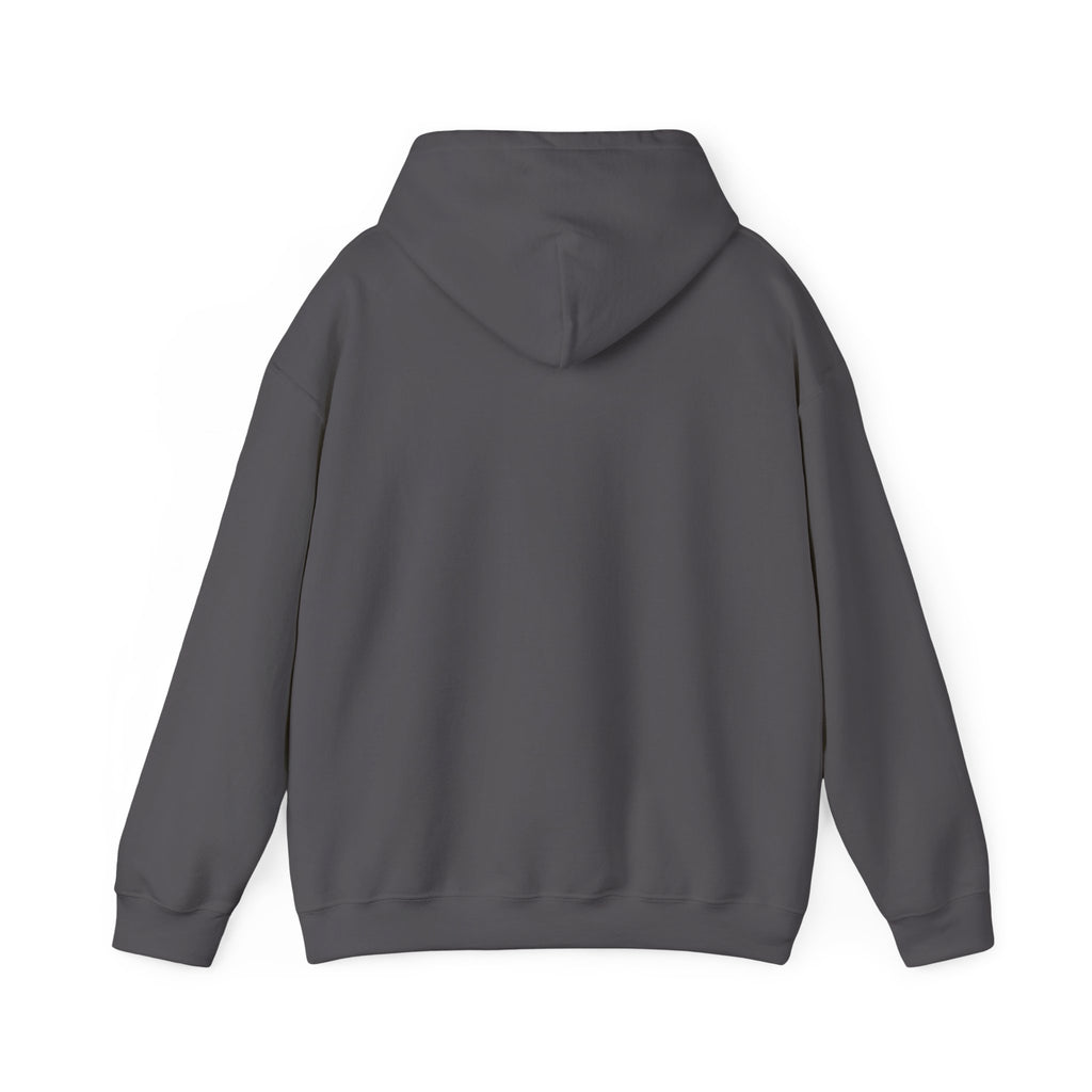 Contract Maintenance Hoodie, Unisex, Airline Humor