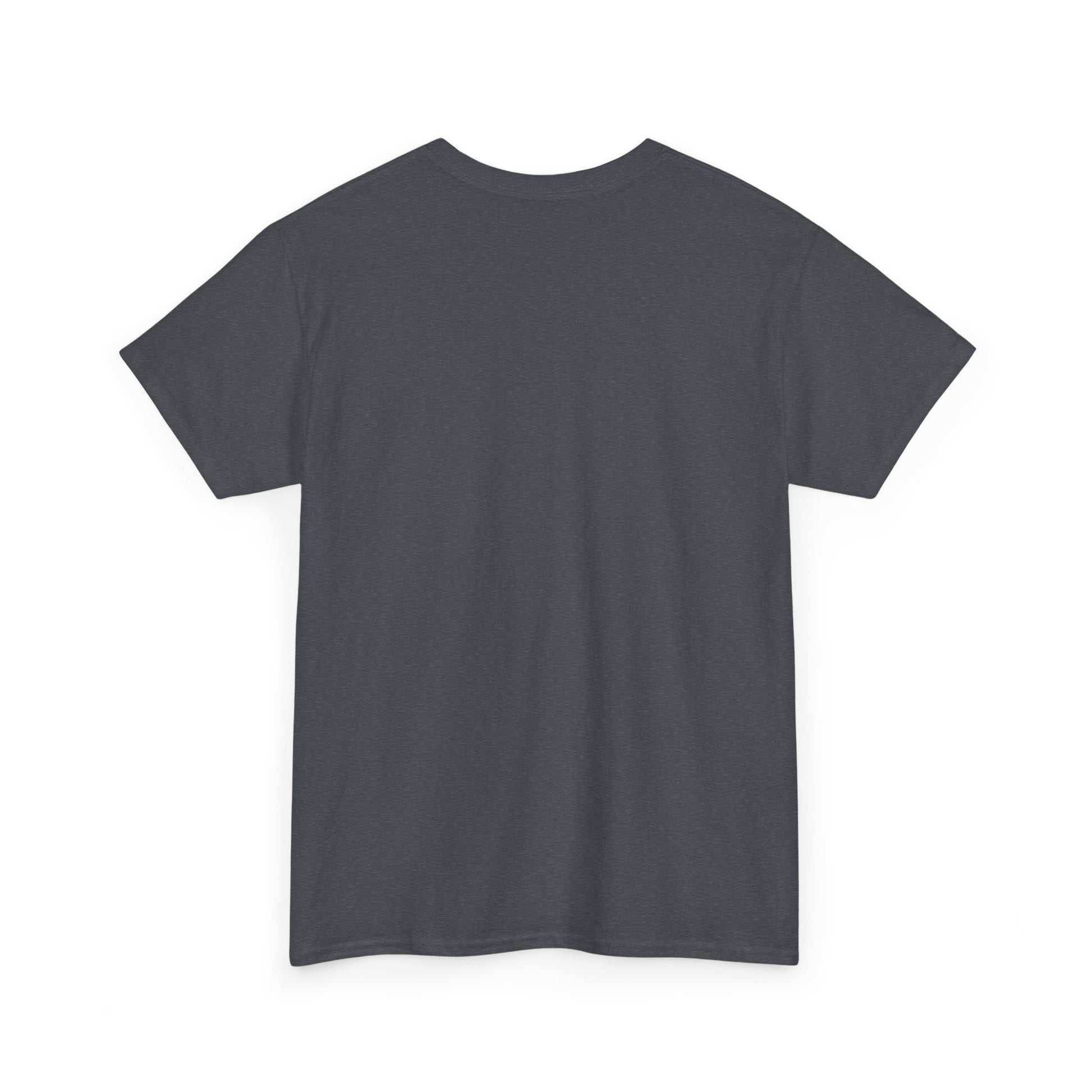 Unisex Comical Travel Tee, Funny Airport Shirt, Travel Lover Gift, Adventure Tee, Vacation Humor Top, Jet Setter Apparel